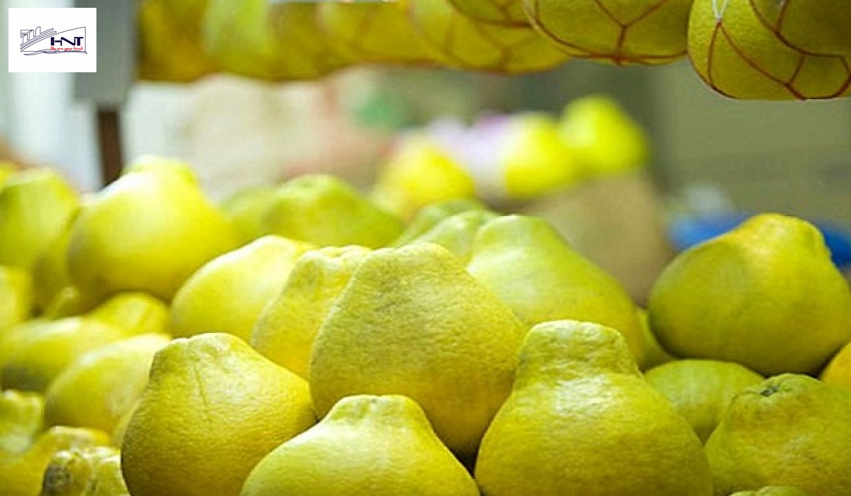 fruit transportation