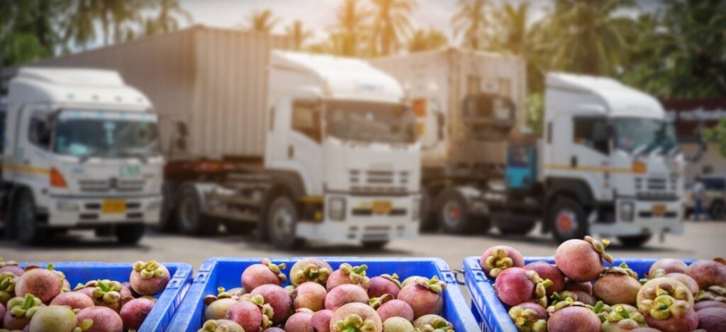 Proper Way to Transport Fruits from South to North