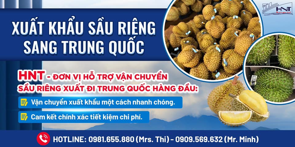 Liên hệ HNT Logistics để được tư vấn về dịch vụ vận chuyển sầu riêng bằng Container sang Trung Quốc nhé