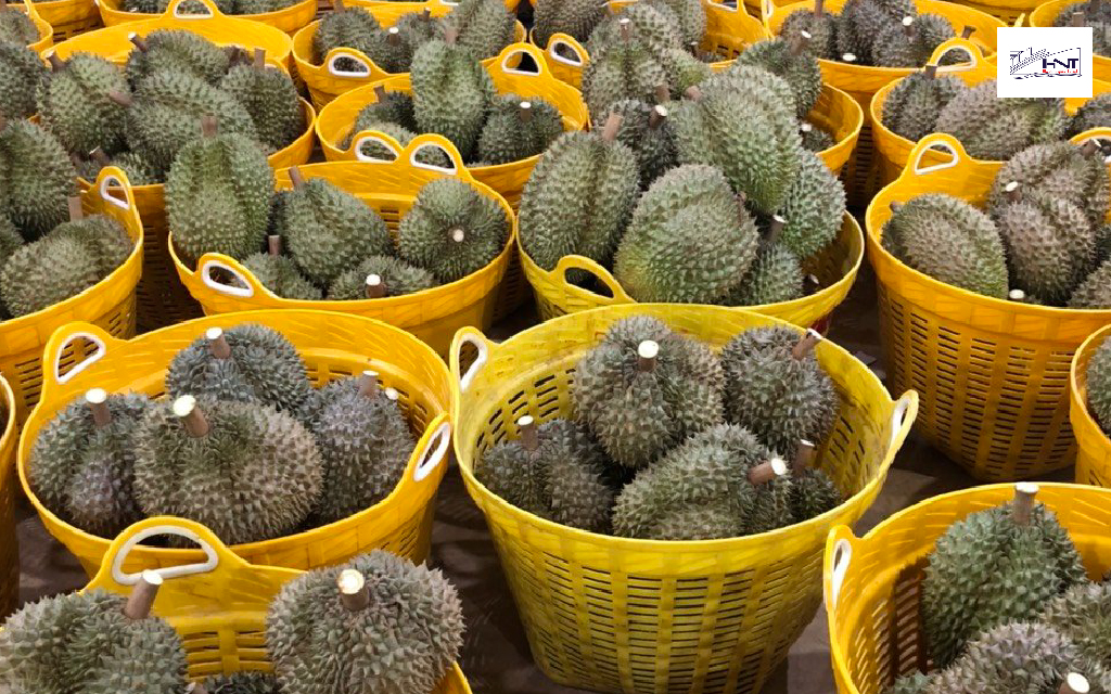 Durian - fruit smelled delicious, but the carriage by aircraft to meet a lot of difficulties