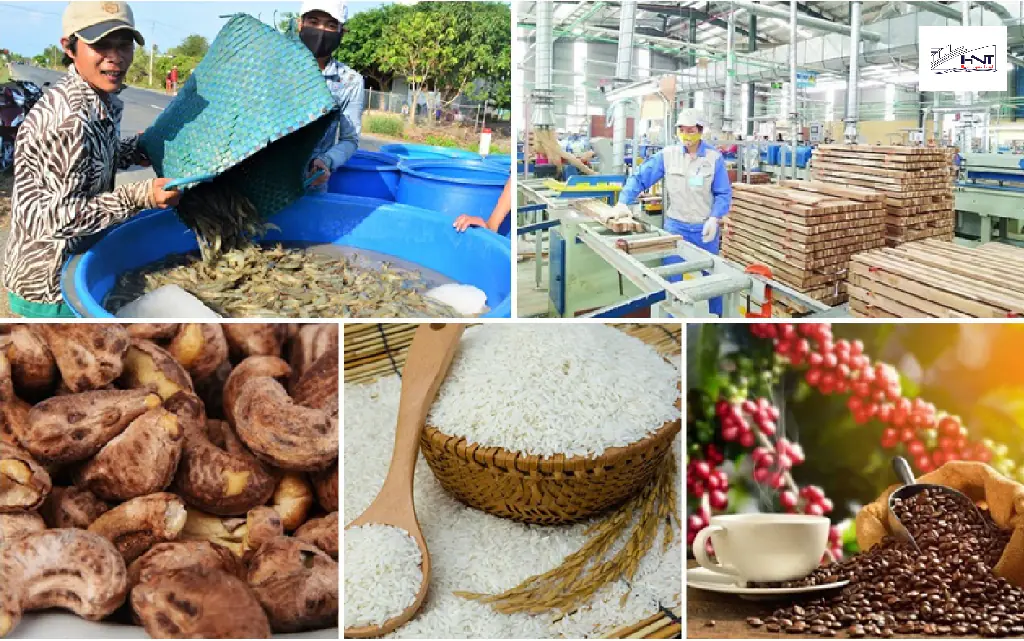 Thúc Đẩy Kinh Tế Nhờ Xuất Khẩu Nông Sản Việt