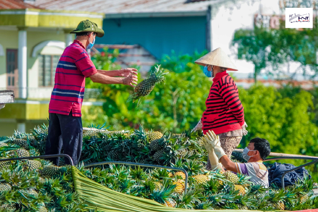 Nâng cao chất lượng sản phẩm để tham gia vào thị trường quốc tế