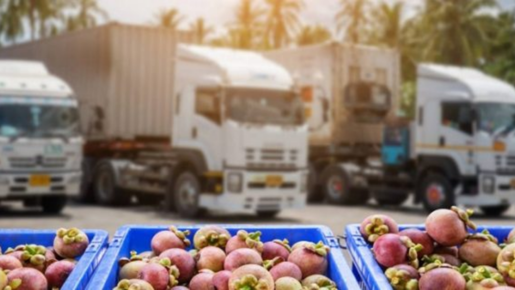 How to Transport Fruits from the South to the North