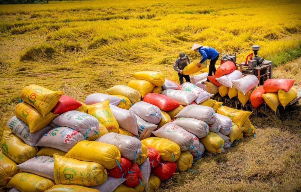 Quy Trình Xuất Khẩu Hàng Hóa Chi Tiết
