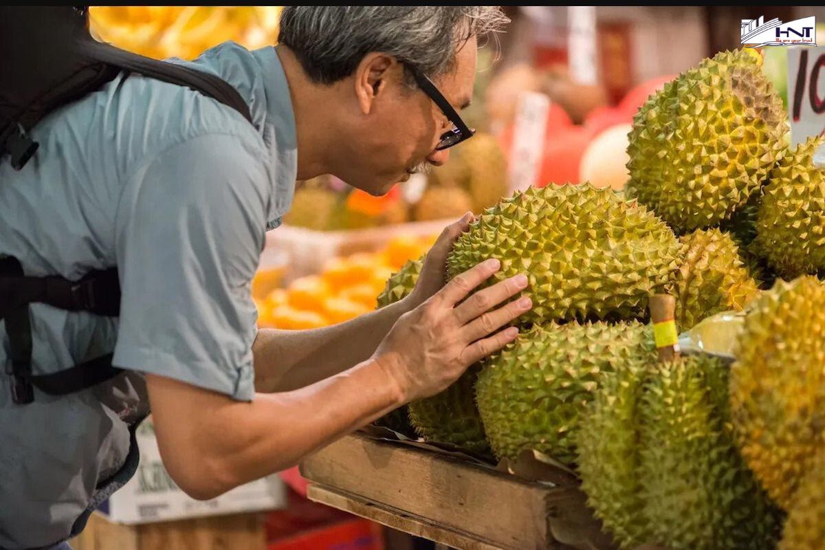 Vietnamese durian is asserting its position in the international market, becoming a leading export product with increasing turnover.