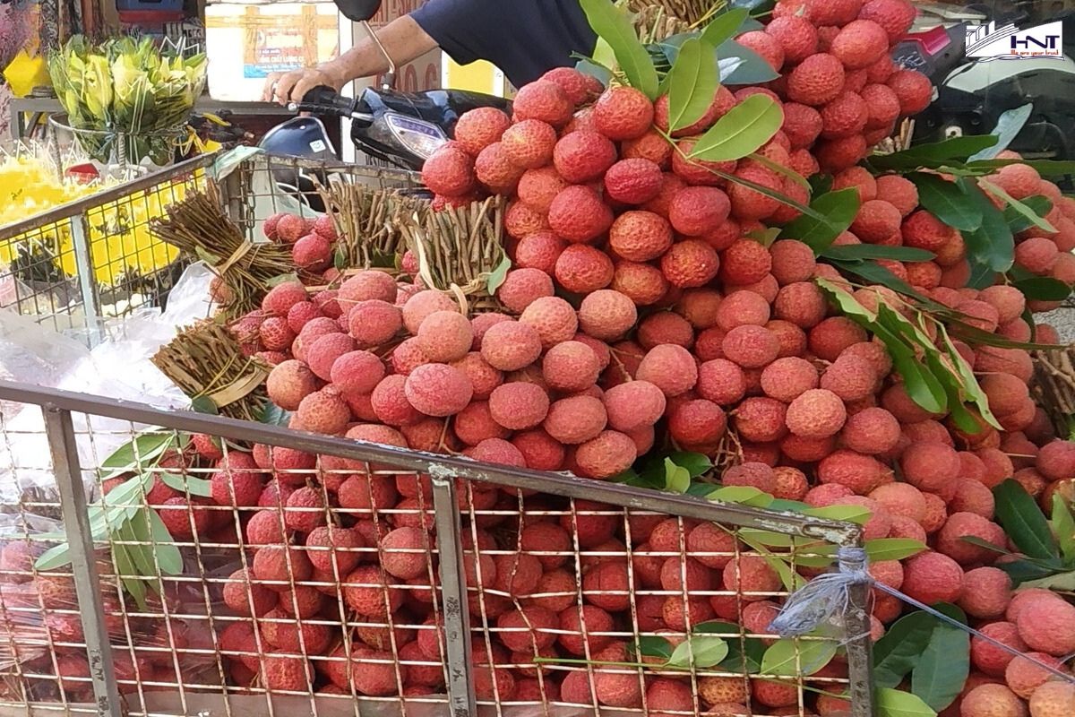 Fresh fruits are among the products that are frequently exported.