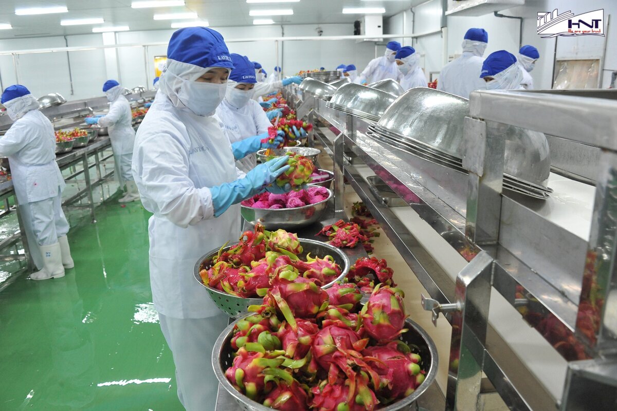 Main export market of Vietnam fruit