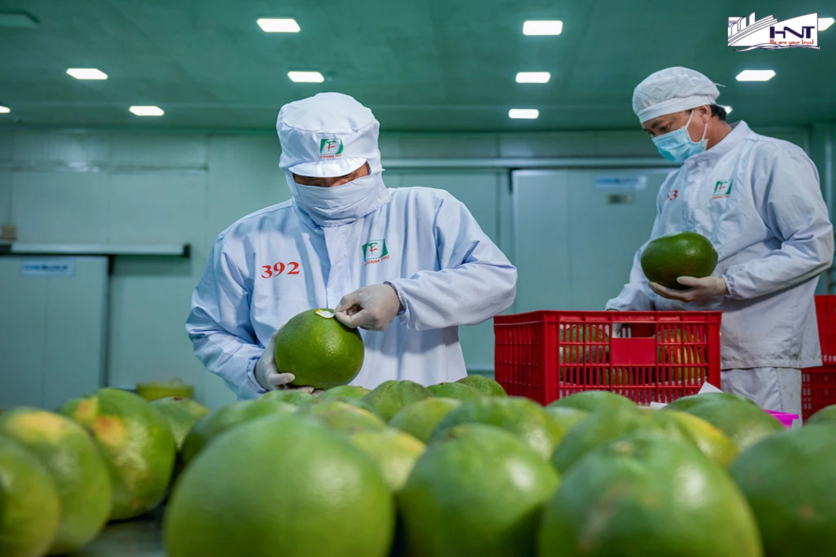 8 factors affecting the prices of export fruit when the fruit business to foreign countries