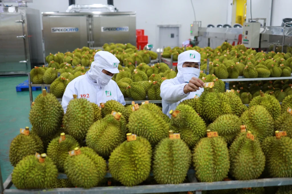 How To Export Fruit Offshore Standard