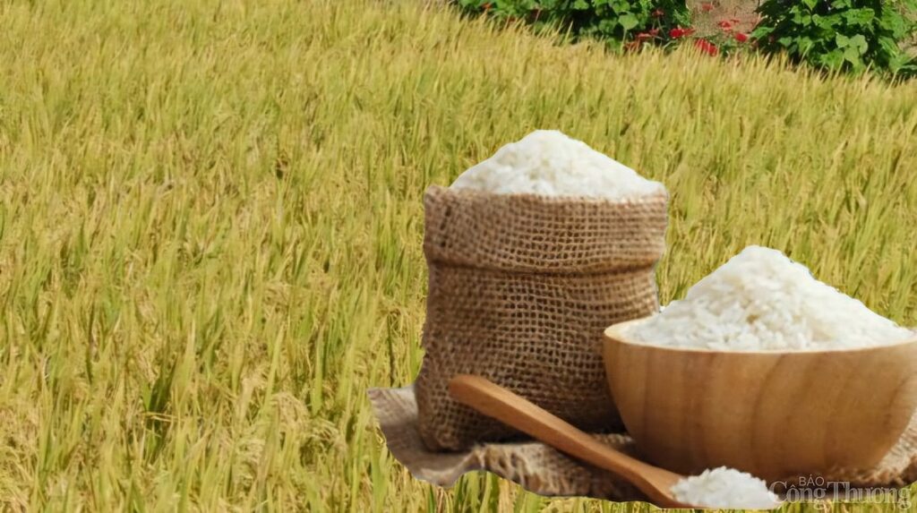 Tax Exporting Agricultural Products: Information Businesses Need To Know