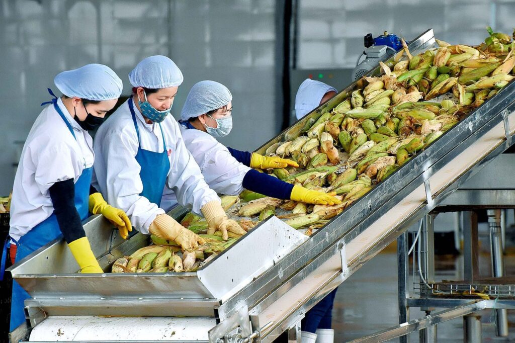 Exports Of Agricultural Products Vietnam - Flourishes 2024!