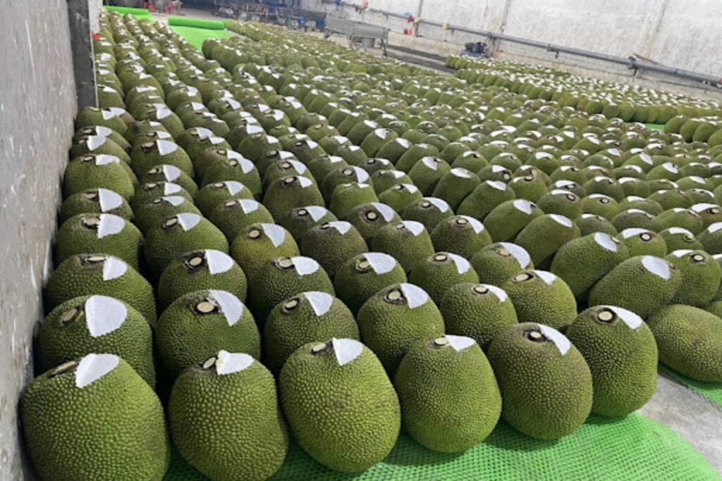 How To Export Agricultural Products Vietnam