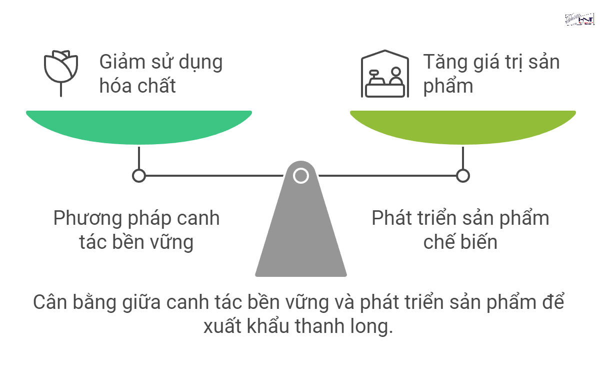 Phát triển nông sản sạch cũng là một cách để nâng cao giá trị nông sản