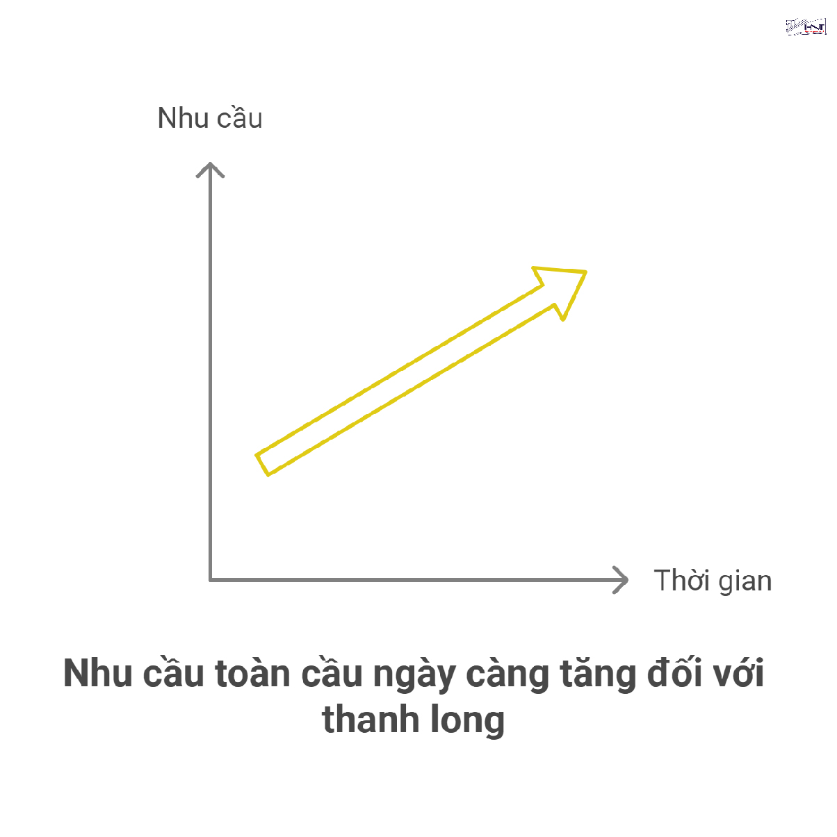 Nhu cầu thị trường về trái cây sạch ngày càng cao, các nhà vườn thanh long cũng nên đầu tư theo thị trường