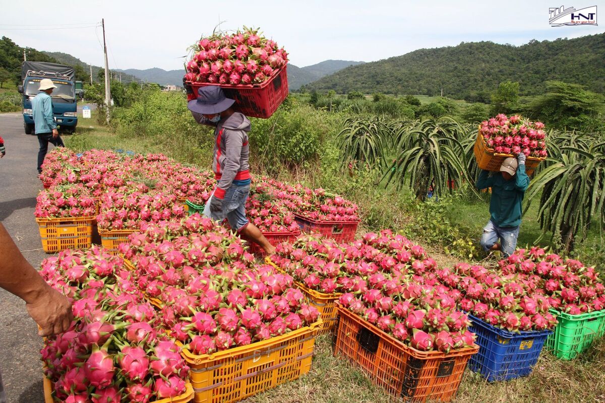 Tiêu chuẩn chất lượng và an toàn thực phẩm