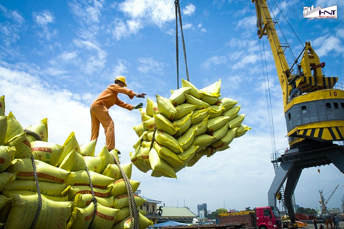 Thủ tục bộ chứng từ xuất khẩu gạo xuất khẩu