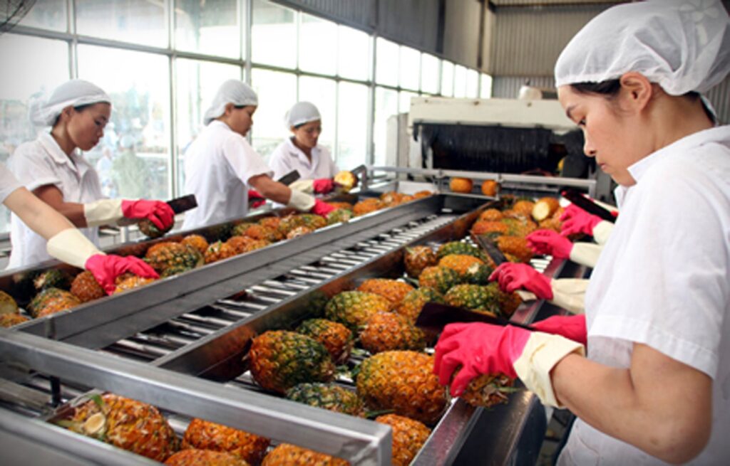 The Certificate From The Export Of Agricultural Products: What You Need To Know