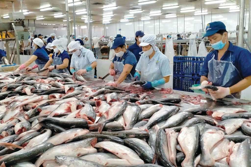 Export Documents Fisheries: Business Prepare?