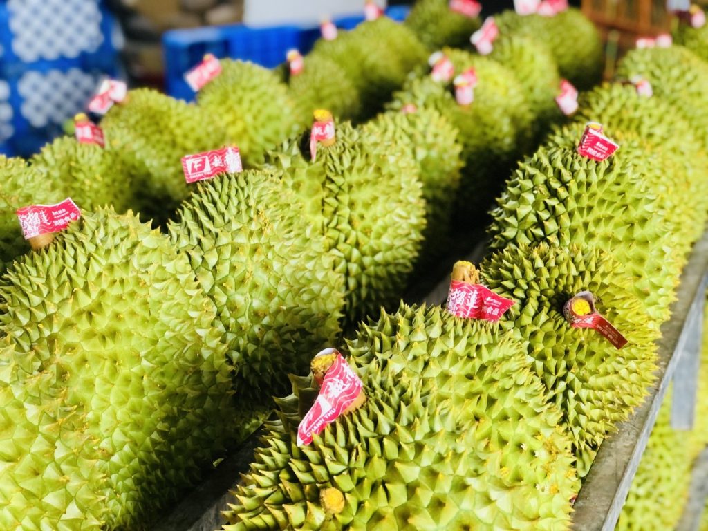 Export Documents Durian: Detailed Instructions