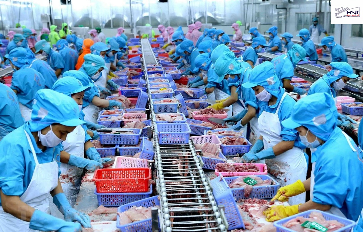Bộ chứng từ xuất khẩu thủy sản bộ chứng từ xuất khẩu thủy sản