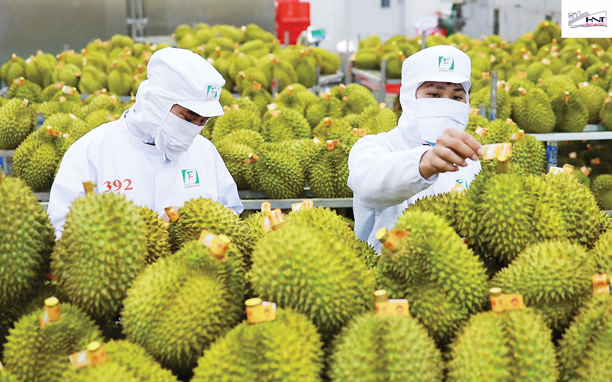 Bộ chứng từ xuất nhập khẩu là gì? bộ chứng từ xuất nhập khẩu là gì