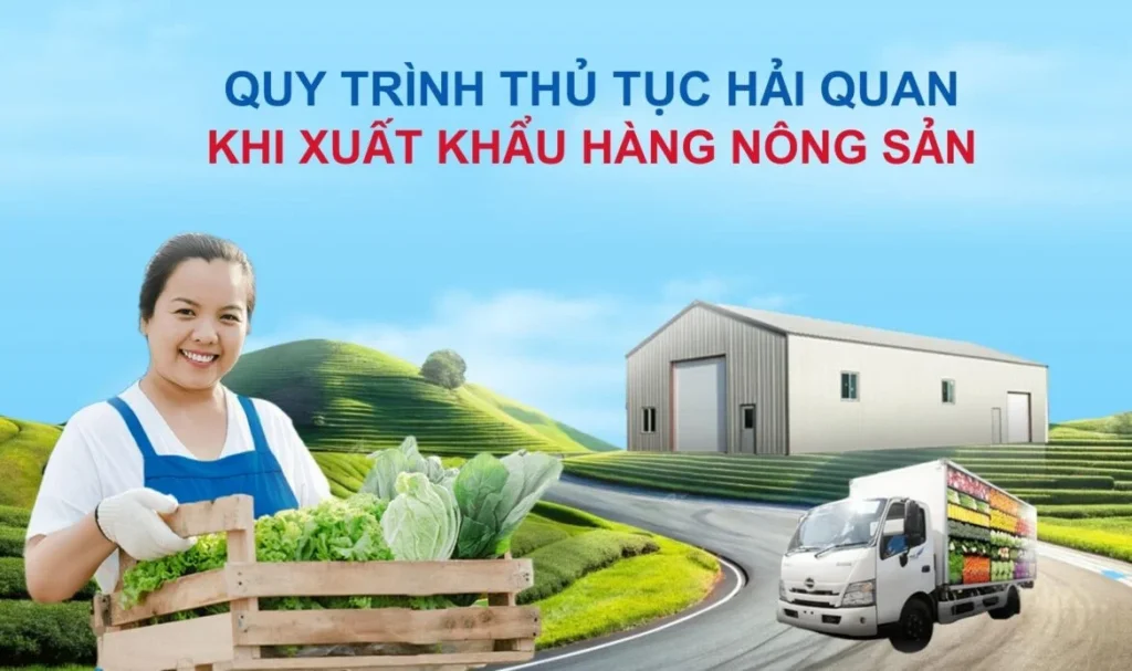 Procedure For Export Of Agricultural Products: From A To Z For Beginners
