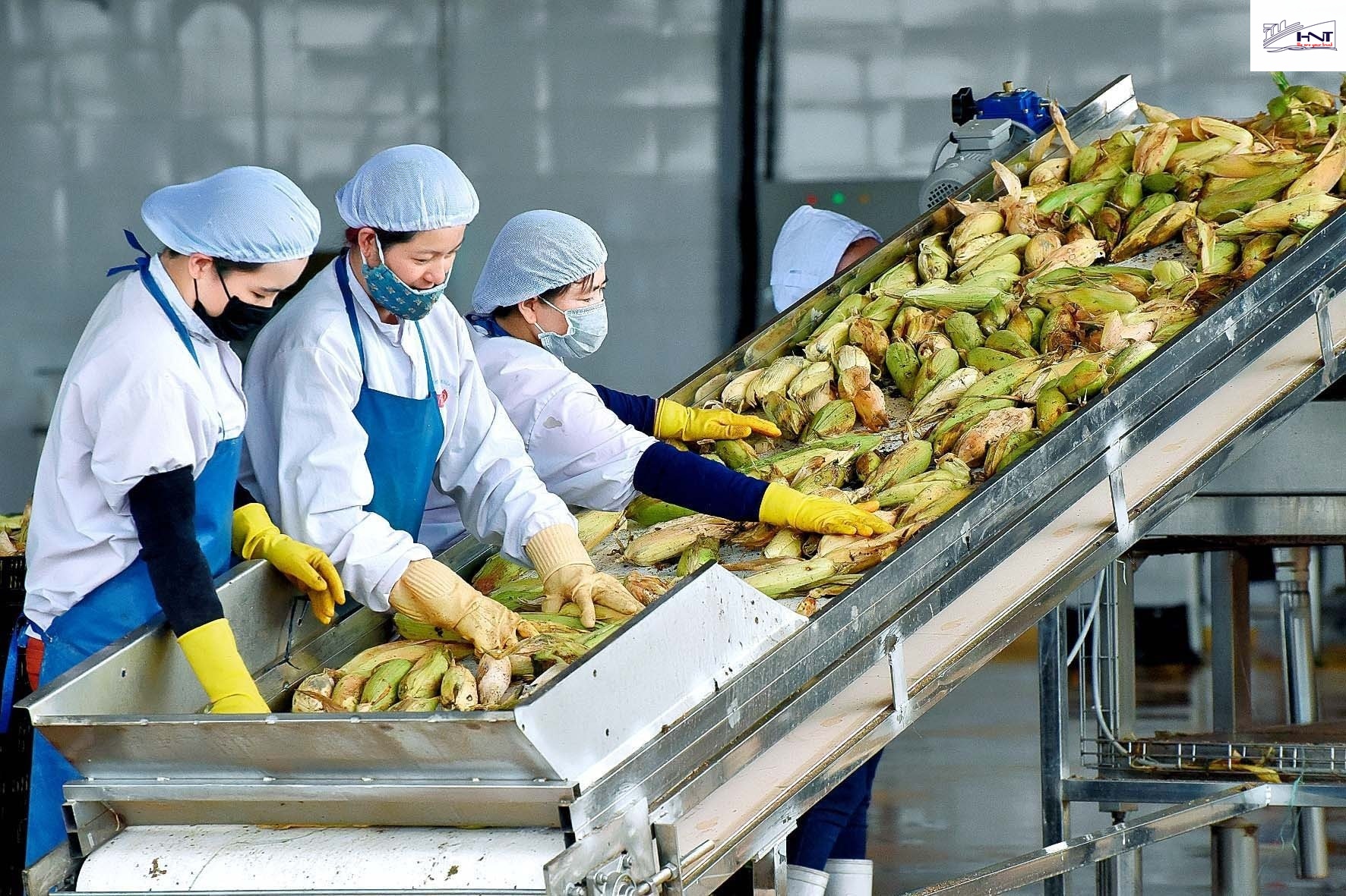 Procedure for export of agricultural products procedure for export of agricultural products