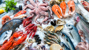 Experience Shipping Frozen Food Safety