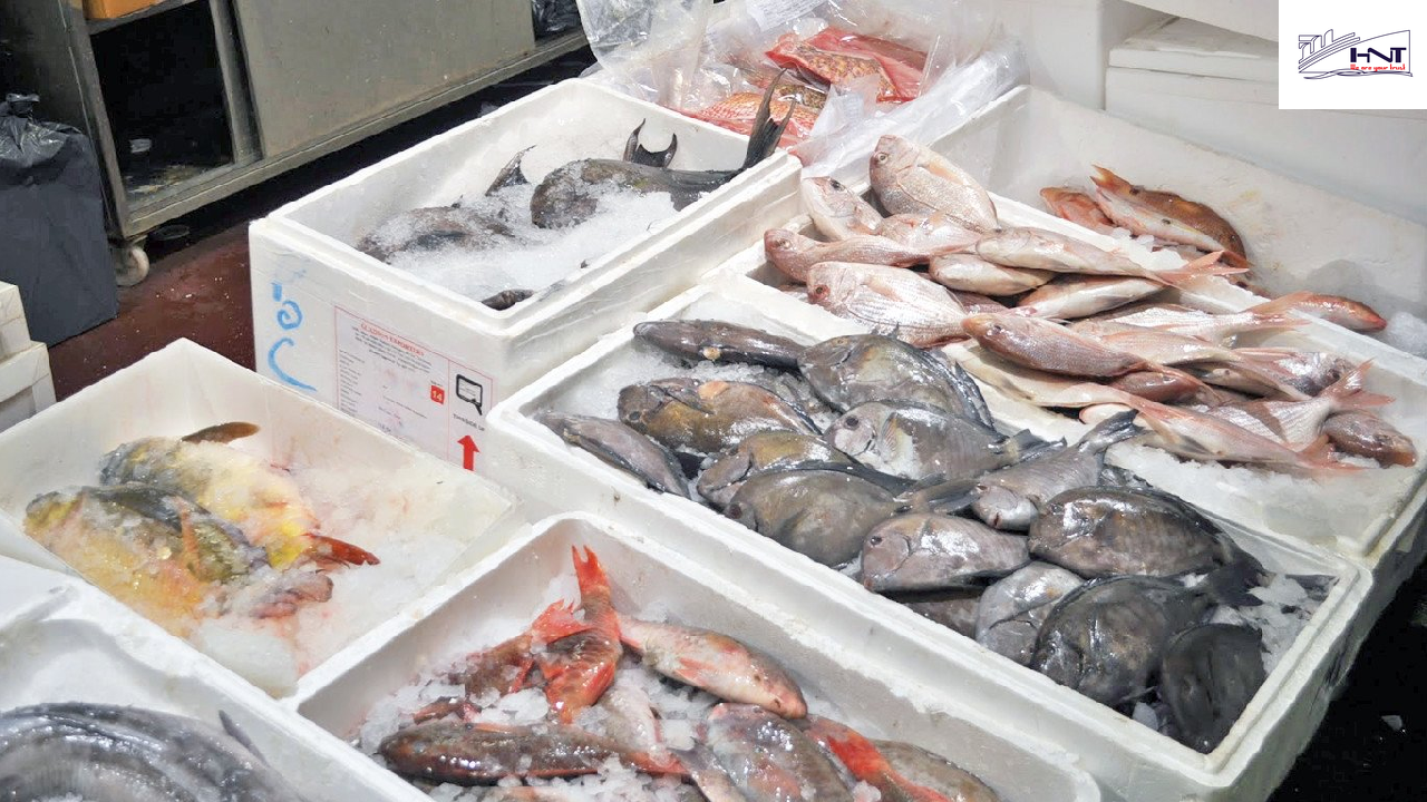 how to transport raw seafood how to transport raw seafood