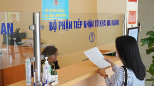 Customs What Is? Guide Implementation Process