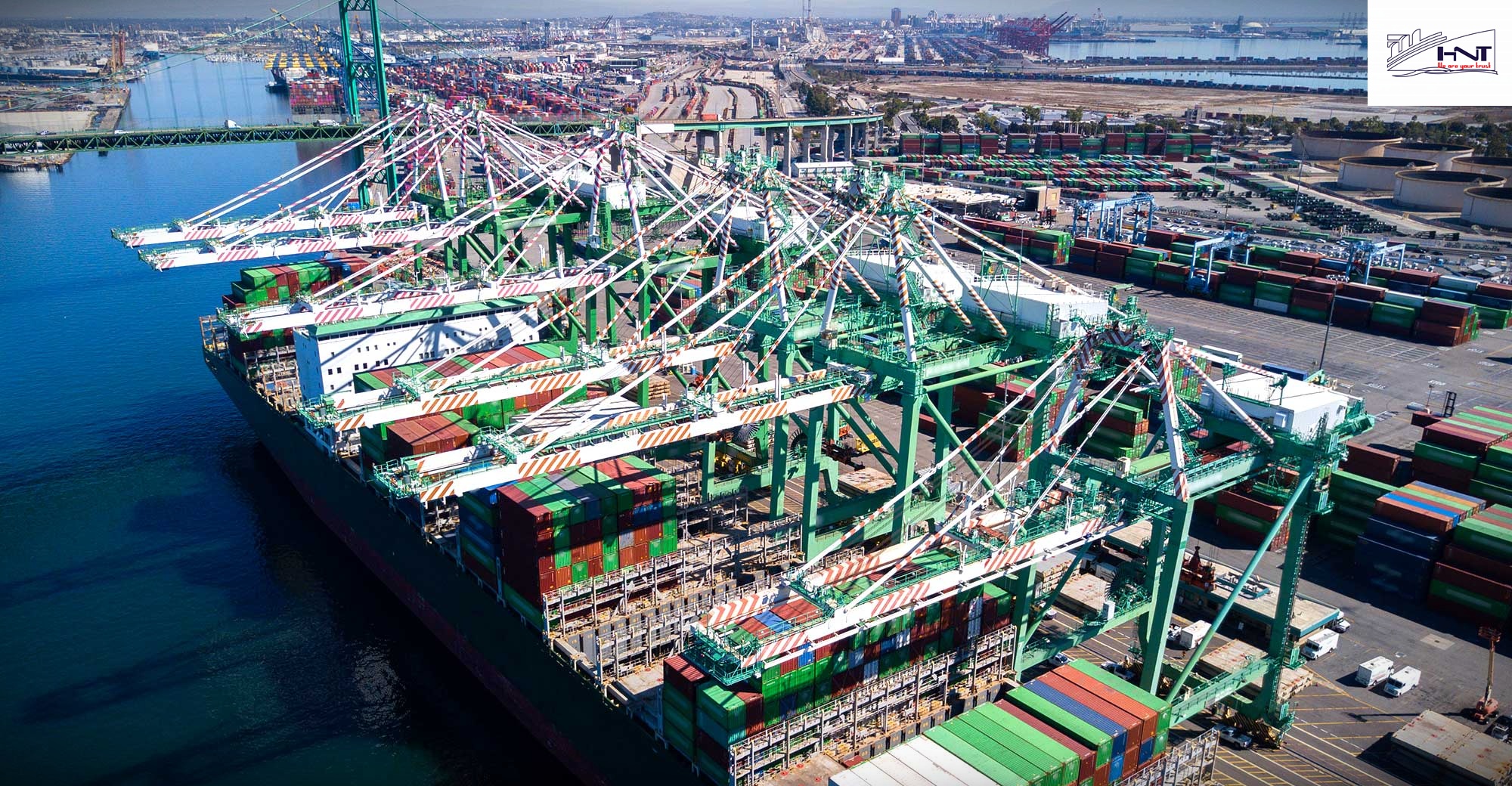 Process imported goods process imported goods