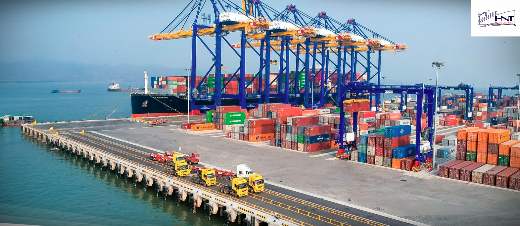 出口程序、化学